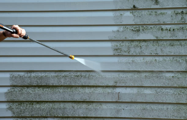 Pressure Washing Contractors in St Martins, MO