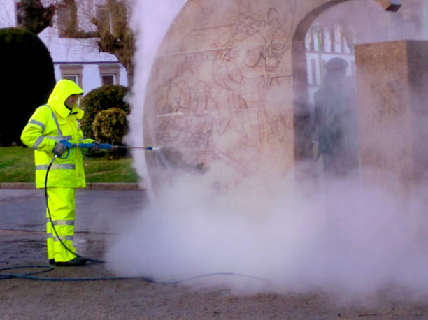Best Pressure Washing Near Me  in St Martins, MO